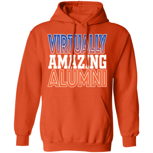 Virtually Amazing Alumni - SSU