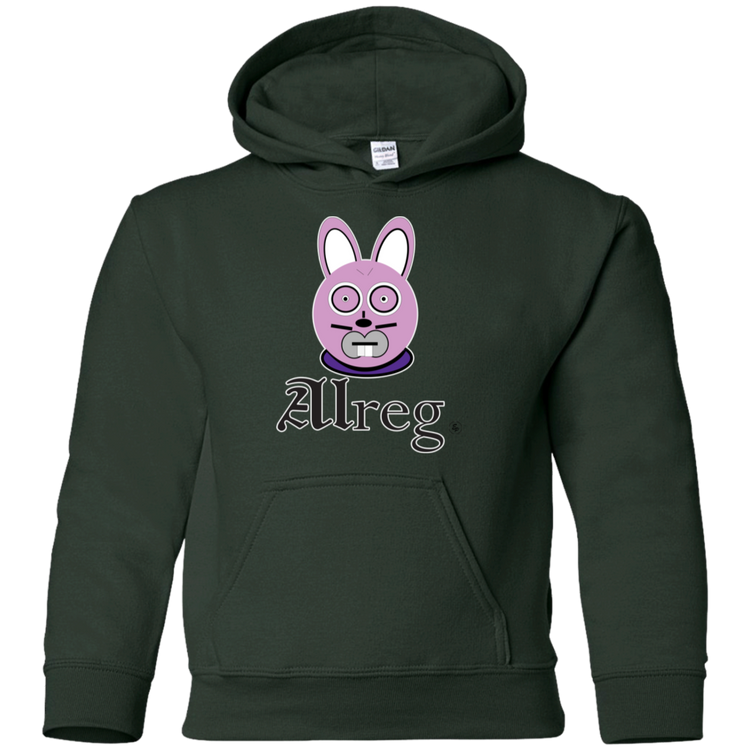Youth Pullover Hoodie