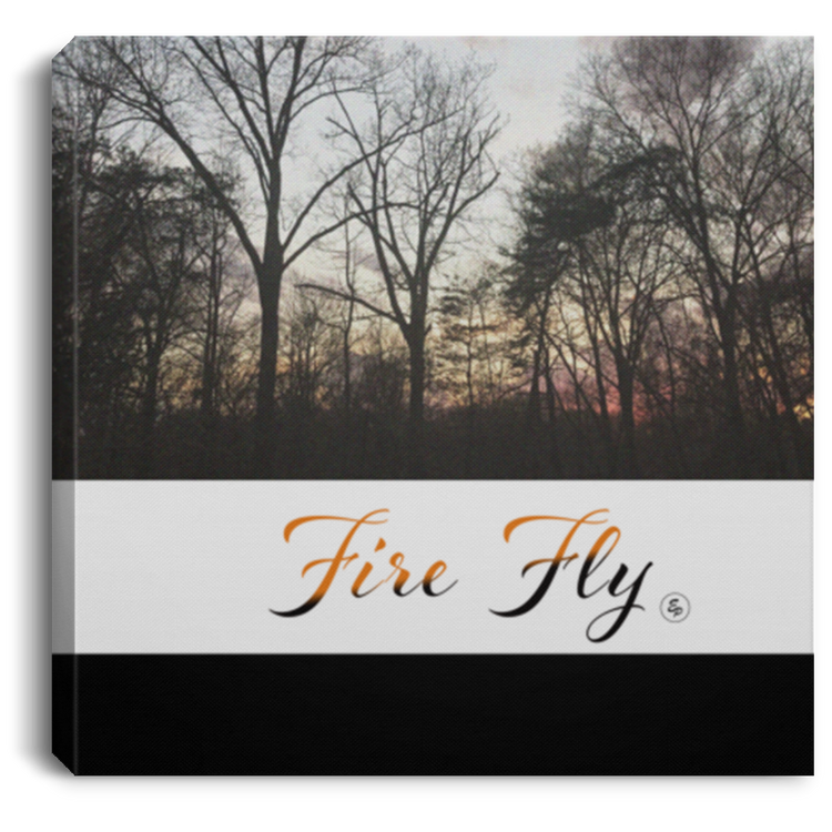 Fire Fly - Square Canvas .75in Frame