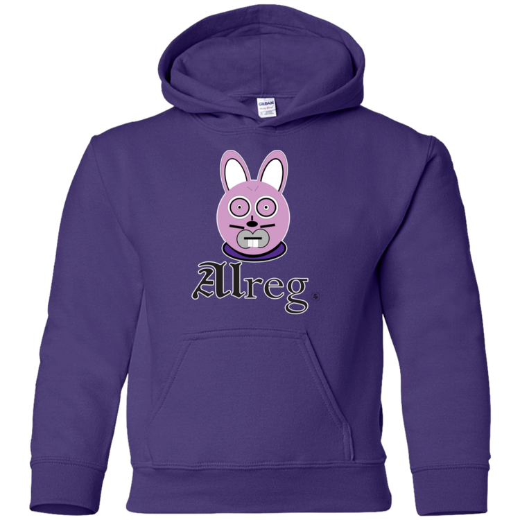 Youth Pullover Hoodie